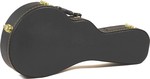Guardian CG-018-MF F-mandolin keménytok kép, fotó