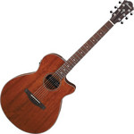 Ibanez AEG220-LGS elektro-akusztikus gitár kép, fotó