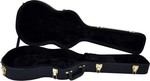 Guardian CG-020-LP LP-Style elektromos gitár keménytok kép, fotó